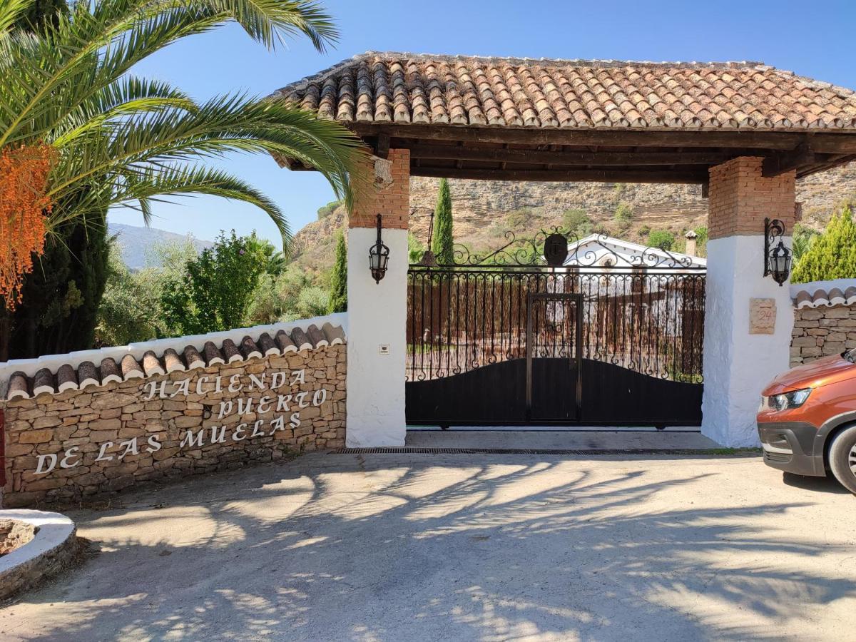 Hacienda Puerto De Las Muelas Ronda Eksteriør bilde