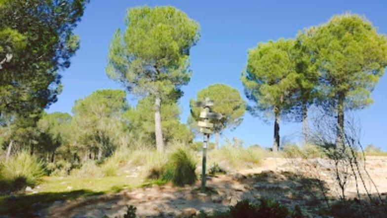 Hacienda Puerto De Las Muelas Ronda Eksteriør bilde